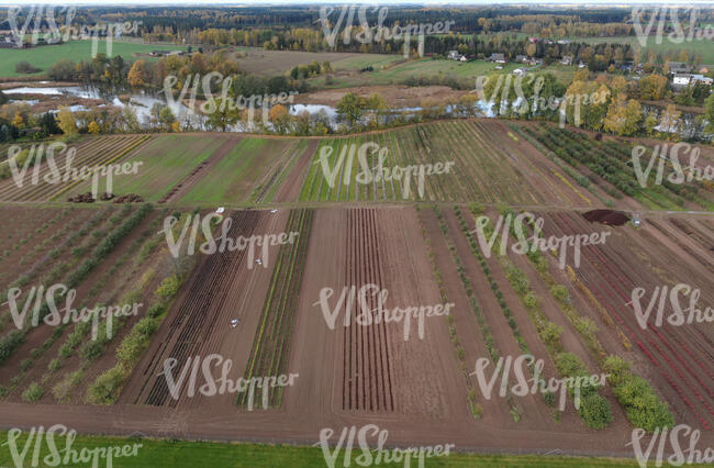 aerial view of agricultural landscape