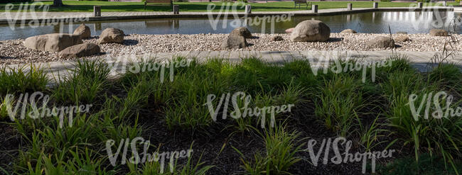 bank of a small pond