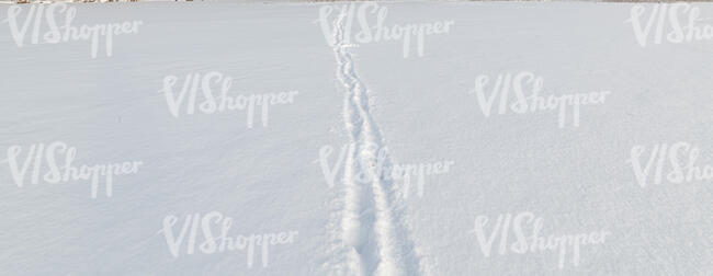 fresh snow with small footpath