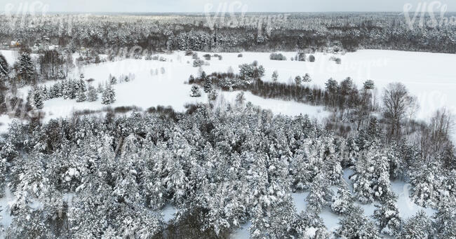 winter landscape with forests and fields seen from above