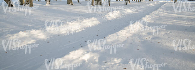 snowy park road with tree shadows