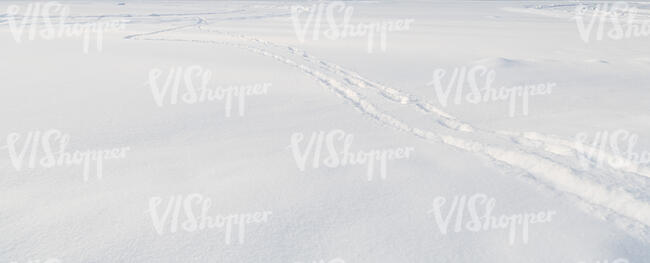 snow field with a trail of footprints