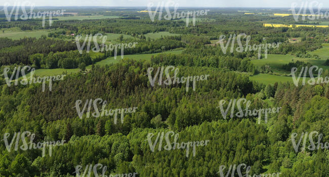 aerial view of forests and meadows