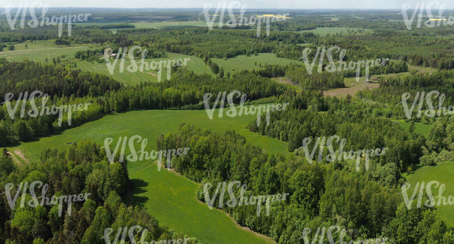 aerial view of groves and fields