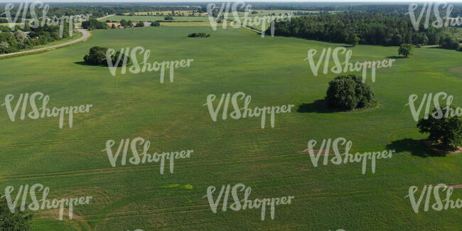 aerial view of green fields in countryside 