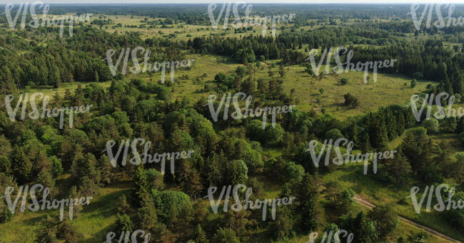 aerial view of forests
