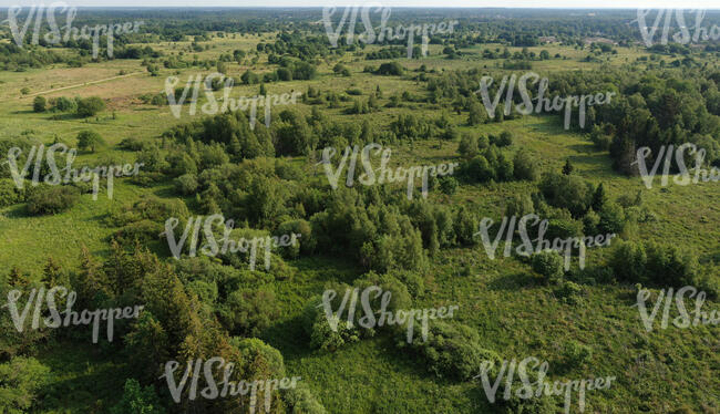 aerial view of fields and shrubberies