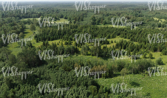 aerial view of forests and grasslands