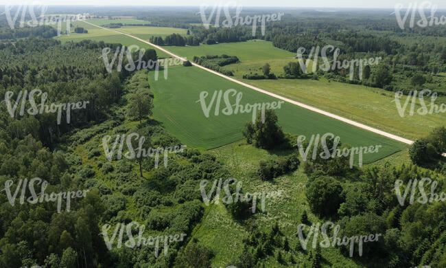 aerial view of a road in countryside