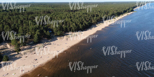 aerial view of a sandy beach