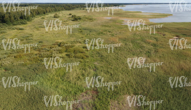 aerial view of a lake shore