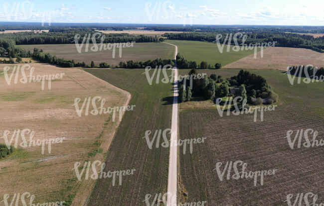 birdeye view of a road between fields