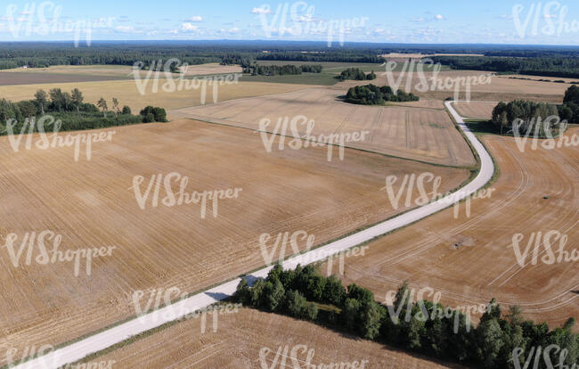 aerial view of an agricultural land with a road