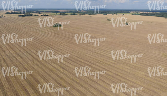 aerial view of a vast field in late summer