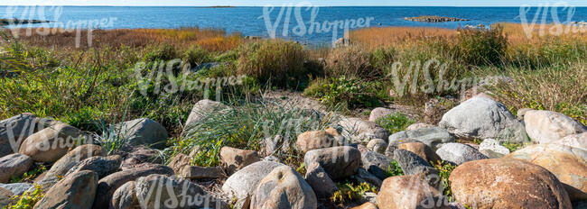 rocky seaside