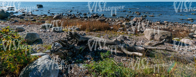 seaside with rocks