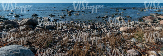 seashore with rocks