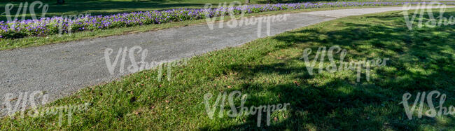 road lined with flowerbeds