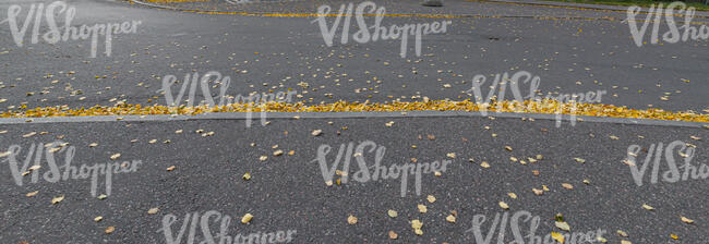 asphalt field with fallen leaves