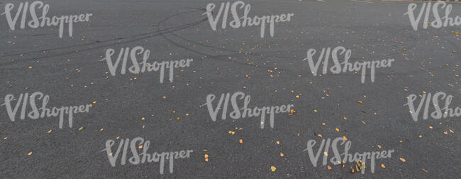 asphalt leaves with fallen leaves and tyre tracks
