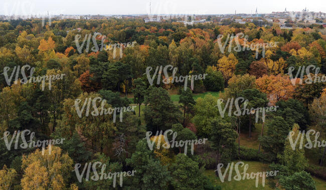 aerial view of a forest in autumn