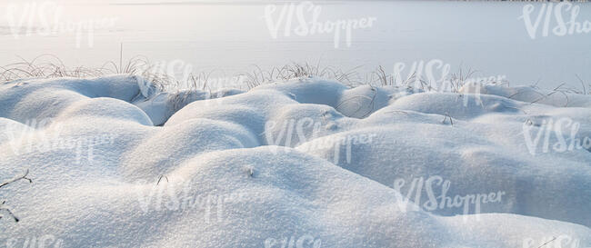 bumpy snowy field of grass