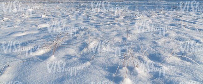 grass field covered with thick snow