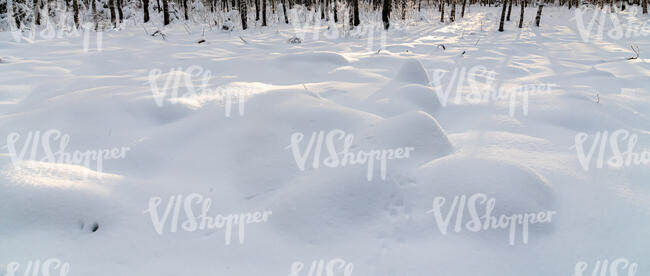 snow field on forest with tree shadows