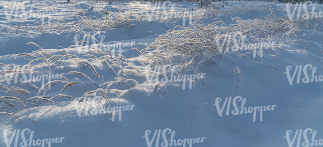 grass field with snow and shadows