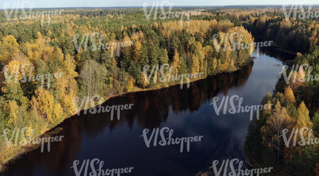 aerial view of a river running between forest in autumn