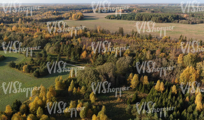 aerial view of a countriyside with forests and fields in autumn