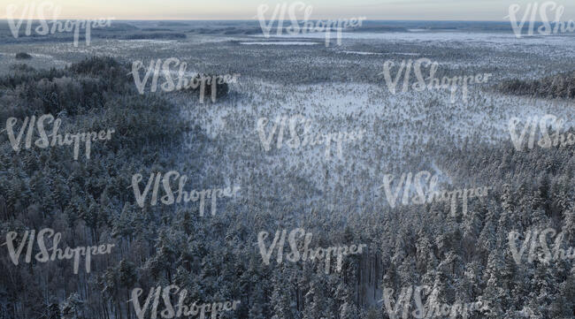 aerial view of a landscape with forest in winter
