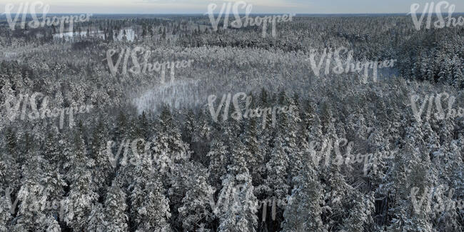 aerial view of a snowy forest