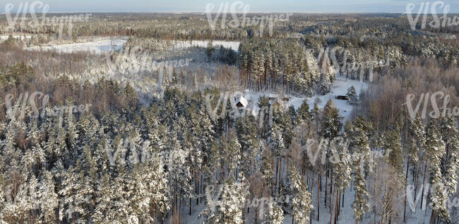 aerial view of a sunny snow covered forest