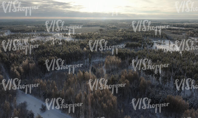 aerial view of a winter landscape