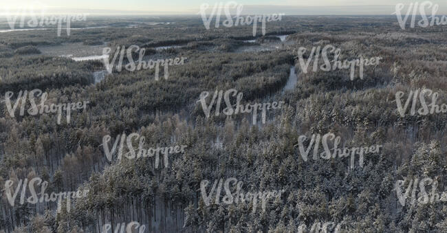 aerial view of winter landscape with forests