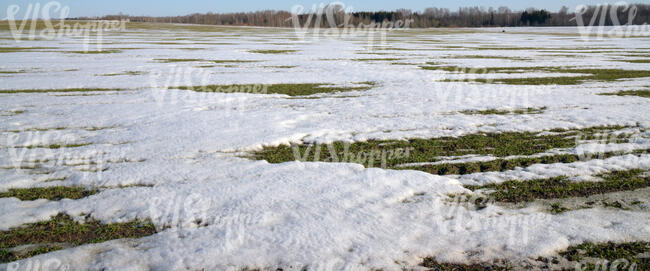 large field of grass with patches of snow