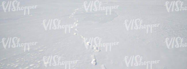 field of snow with single footprints