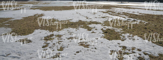 large field of grass in early spring with melting snow