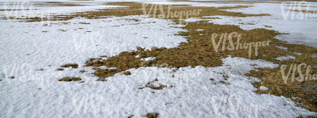 field of grass in early spring with melting snow