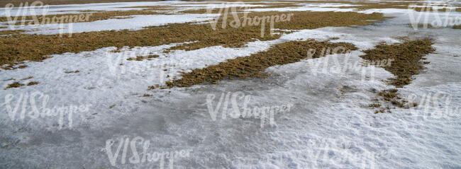 field of grass in early spring with some snow