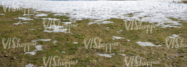 grass partially covered with snow