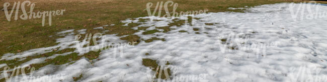 grass in early spring with snow melting