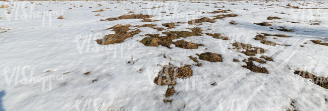 field of snow melting in early spring