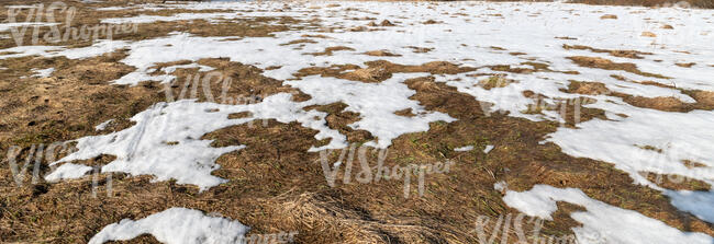 field of grass in early spring with patches of snow