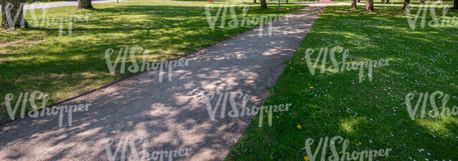 small road in a park under the trees