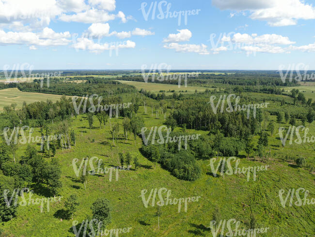 drone photo of a landscape with trees and grasslands