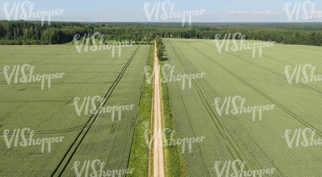 aerial view of a country road between fields