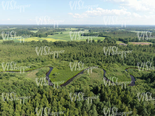 aerial photo of a river between forests