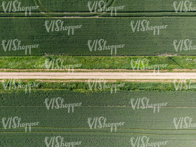 top view of a country road between fields